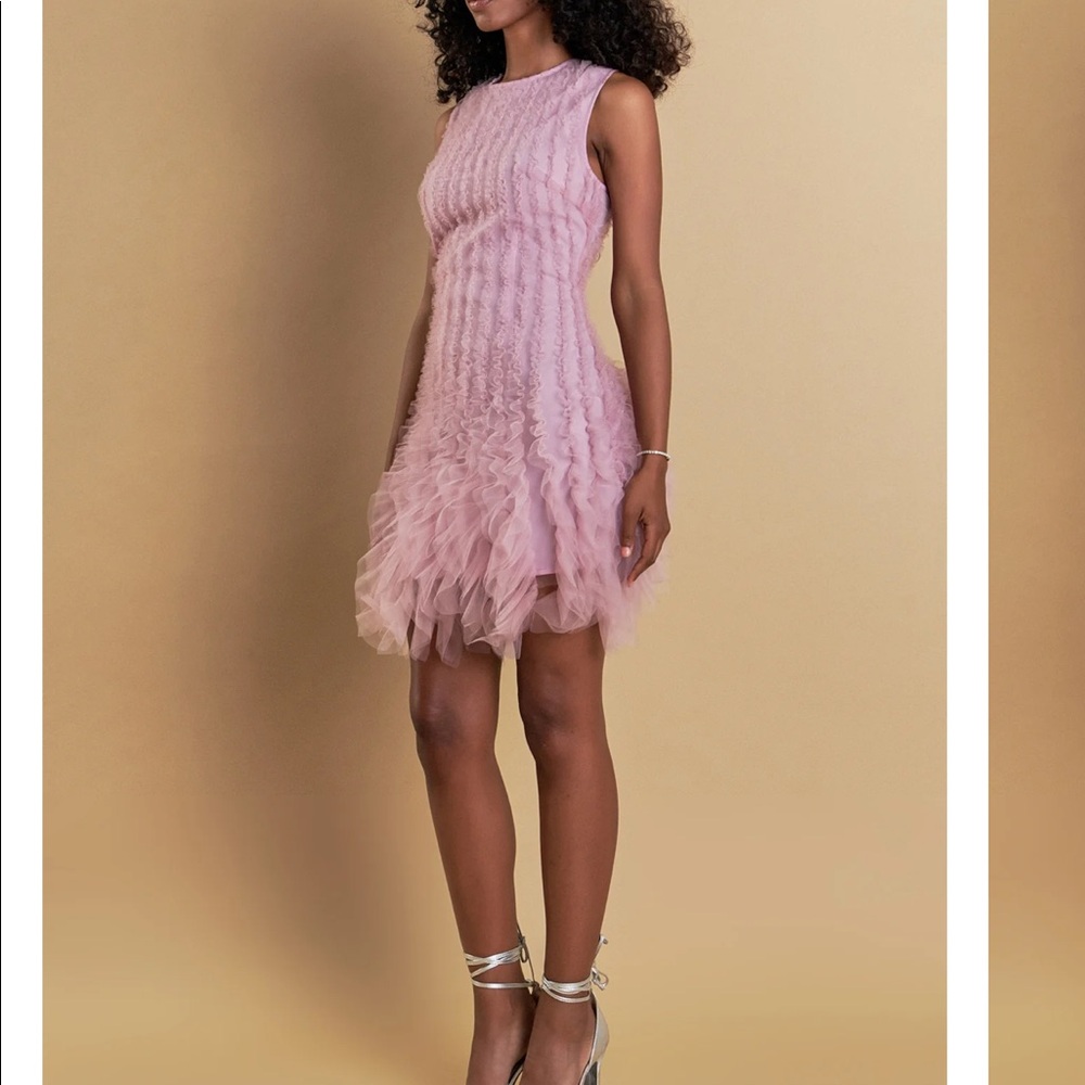 Endless Rose Mauve Ruffled Tulle Mini Dress - Picture 8 of 9